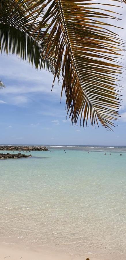 Ti Kaz A Rhum Apartment Sainte-Anne  Ngoại thất bức ảnh